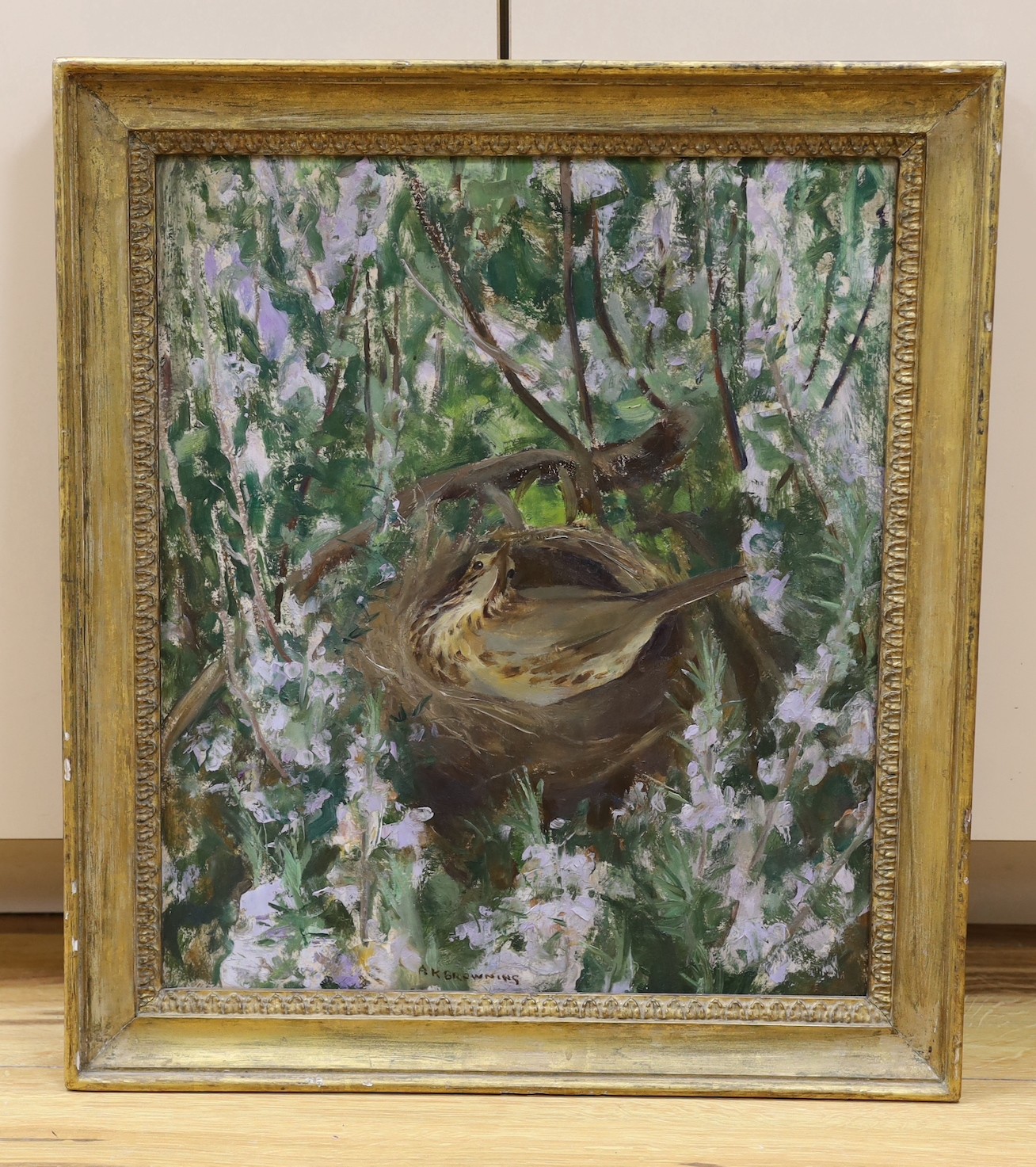 Amy Katherine Browning (1881-1978), oil on board, 'Mother Thrush', signed with RI Exhibition label verso, 44 x 38cm